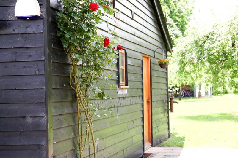 Wilderness B&B 3 Self Contained Rooms Nr Sissinghurst Headcorn Zewnętrze zdjęcie
