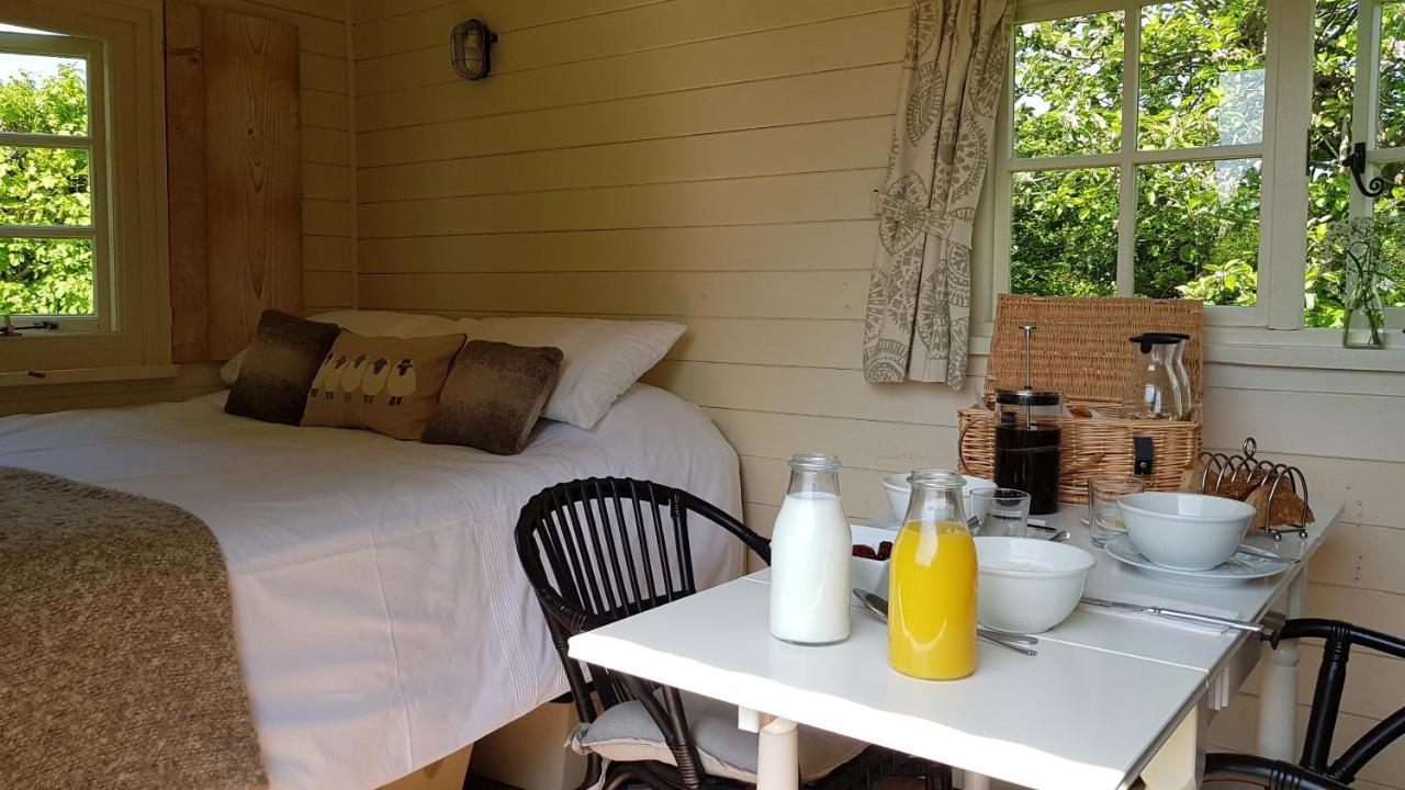 Wilderness B&B 3 Self Contained Rooms Nr Sissinghurst Headcorn Zewnętrze zdjęcie